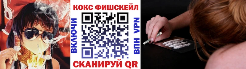 Купить закладки  Козельск  COCAIN FishScale 