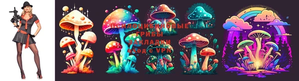 мет Белокуриха