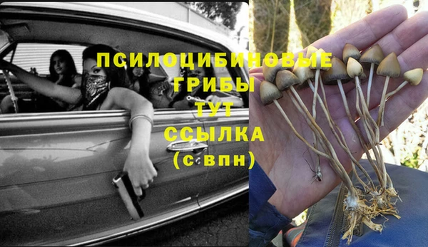 мет Белокуриха